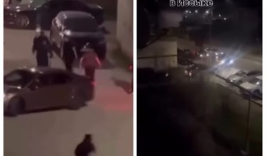 Стрельба в Есике: семь человек увезли в изолятор