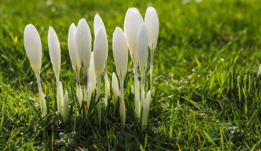 Какая погода ждет Казахстан в начале апреля