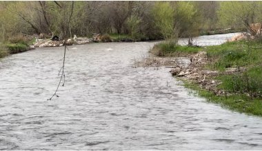 Еще один ребенок пропал в Туркестанской области