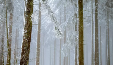 Дожди, грозы и шквалы: Казахстан накроет штормовая погода в воскресенье