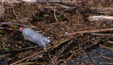 Мусор на льду в Бурабае: что говорят в нацпарке