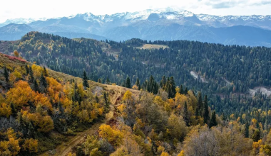 Земли у Медеу за 17 млрд вернули государству