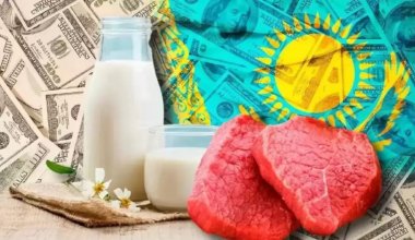 Россия обратилась к Казахстану с просьбой по животноводческой продукции