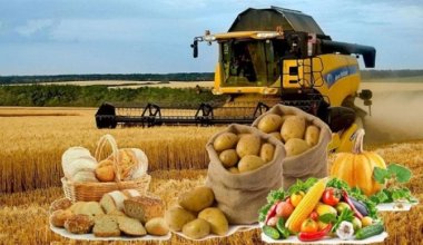 От масла до напитков: Казахстан наращивает производство продуктов питания