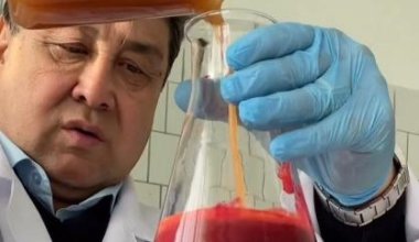 Научный прорыв: казахстанские учёные создают функциональные соки и джемы