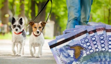 Налог на содержание собак: Минфин объяснил депутатам элементарные вещи