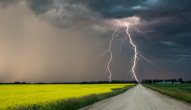 Грозы, ветер и заморозки накроют регионы Казахстана