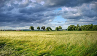 Сильный ветер, туман и грозы накроют регионы Казахстана