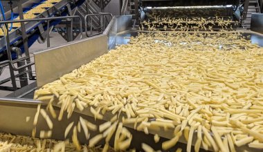 Китайцы будут производить картофель фри в Павлодарской области