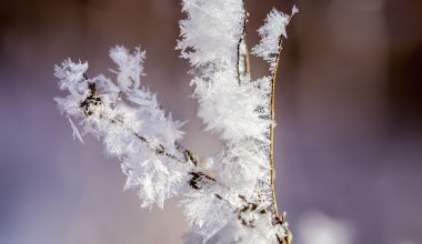 Погода ухудшится: где в Казахстане ждать ветер и заморозки
