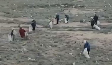 Верблюд среди мусора: в степи Мангистау начали уборку