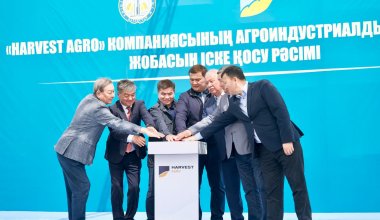 От пустующих земель к агроиндустрии: в Кызылординской области запустили Harvest Agro
