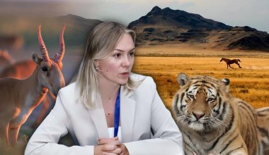 Об угрозах казахстанской природе рассказали экологи