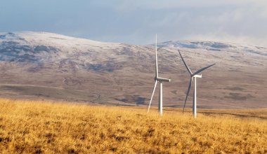 TotalEnergies потратит 1,2 млрд долларов на строительство ветряков в Казахстане