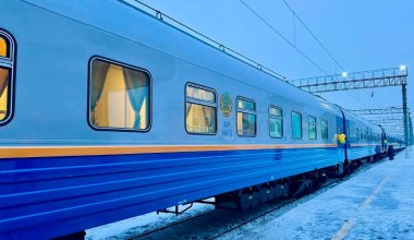 Кого накажут за массовое отравление людей в поезде