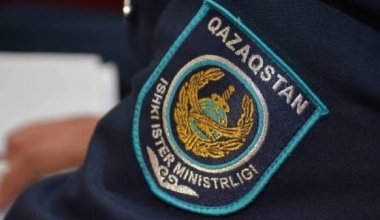 Девочка пришла в школу с топором в Алматы: что известно