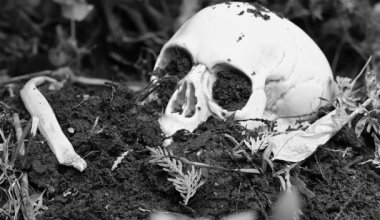 Человеческие останки в котловане: жители ВКО требуют остановить стройку больницы