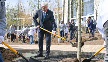 Токаев посадил дерево в Астане и выслушал отчёты чиновников об экологии