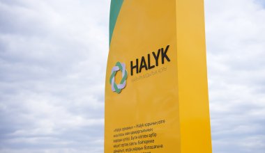 В Казахстане высажен миллионный саженец проекта «Halyk Орманы»