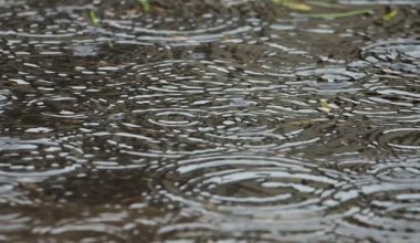 Погода в начале мая будет меняться по всему Казахстану