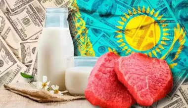 В Казахстане решили по-новому бороться с ростом цен на продукты