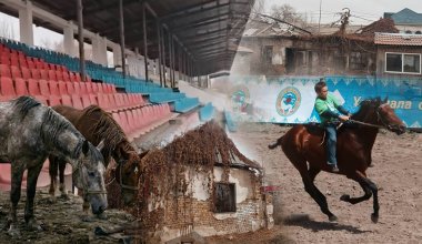 Лошади не ко двору? Кому выгодно разрушение ипподрома в Алматы