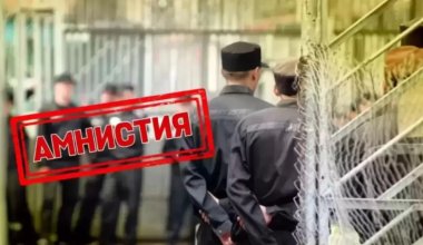 Амнистия: простит ли государство молодых закладчиков