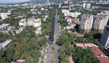 Алматинцы потребовали обезопасить Аль-Фараби после страшного ДТП