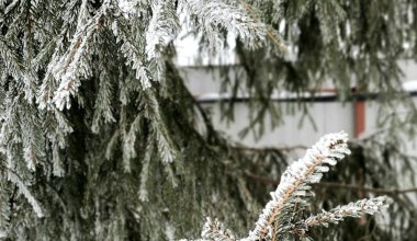 Снег и заморозки: в Казахстане ожидается резкое ухудшение погоды