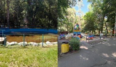 В Алматы у бизнеса отобрали территорию в парке Горького