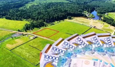 Китайцы продают земли в Алатау-сити: Минсельхоз проблем не видит