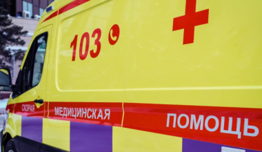 В СКО выявили случаи опасного заражения бруцеллёзом
