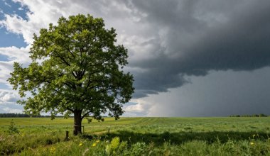 Погода в Казахстане 30 мая: жара на юге, дожди на севере и западе