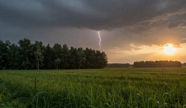 Сильная жара сменится дождями и грозой: штормовое предупреждение на 2 июня