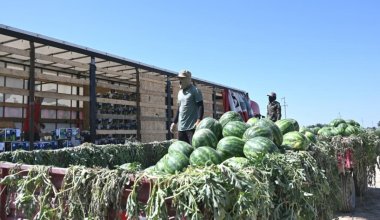 Россияне получили арбузы и дыни нового урожая из Казахстана