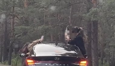 Астанчанки высунулись из окон авто ради видео: водителя наказали