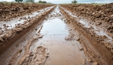 После отдыха на природе десятки людей застряли в грязи в Атырау