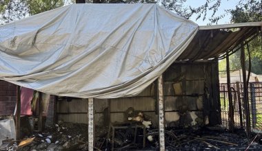 Ночной пожар в зоопарке Алматы уничтожил детский поезд и гольф-кары