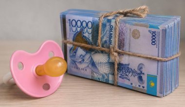 67 млрд исчезли? О масштабных “декретных схемах” заявили в мажилисе
