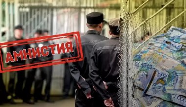 Амнистия будет, но не для всех: cенат одобрил закон