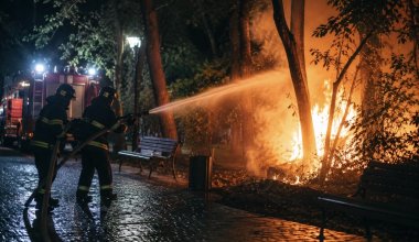 Иностранец пытался поджечь парк в Кокшетау и едва не погиб сам