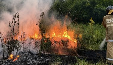 Три лесных пожара произошли в Казахстане за сутки