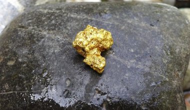 Золото тайно добывали в одном регионе Казахстана