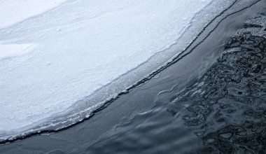Едва не утонул: пенсионера спасли на озере Жасыбай
