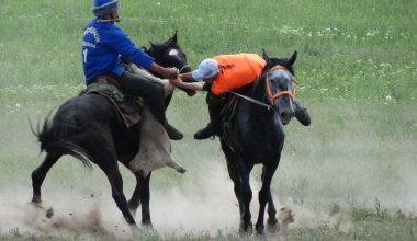 Кокпар закончился стрельбой: мужчина привез ружье после драки
