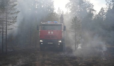 Почему разгорелся пожар в «Семей орманы»: Минэкологии проведет проверку
