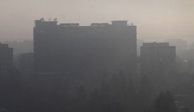 Уральск покрылся густым дымом из-за пожара в лесничестве