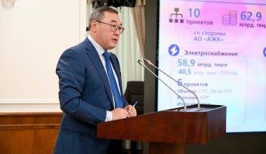 «Все виноваты, кроме вас» - аким Алматинской области нарвался на критику премьера