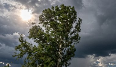 Прогноз погоды на 1 августа: жара, грозы и штормовой ветер