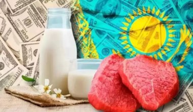 Почти половину произведенных в Казахстане товаров планируют отправить на экспорт